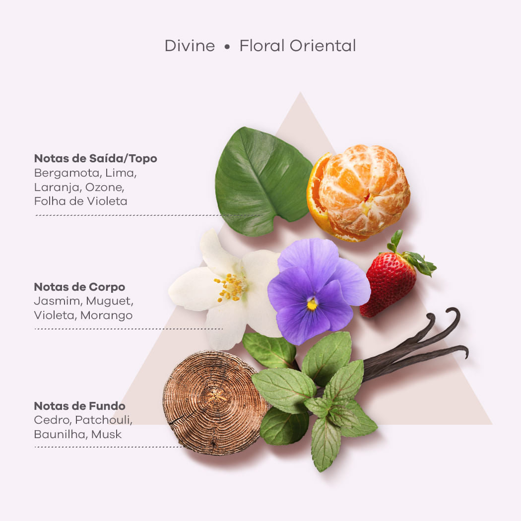 BRAÉ Divine Anti-Frizz - Shampoo 250ml - verso com modo de uso