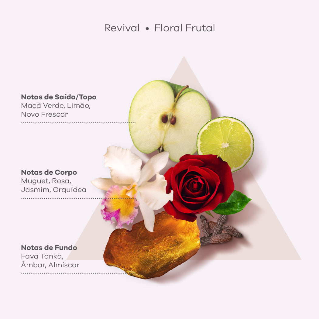 BRAÉ Revival - Shampoo 250ml - verso com modo de uso